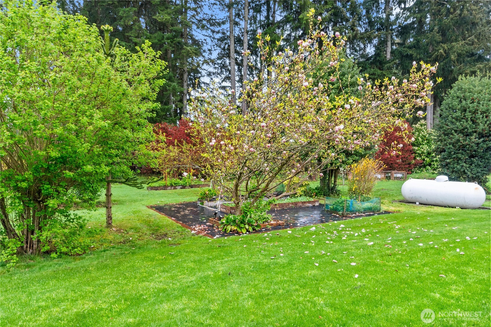18437 Elderberry Street SW, Rochester, WA 98579