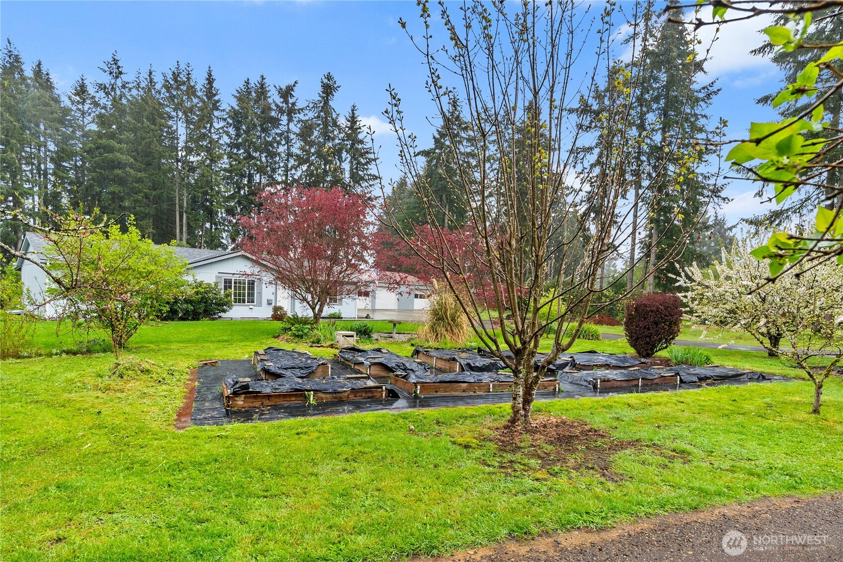 18437 Elderberry Street SW, Rochester, WA 98579