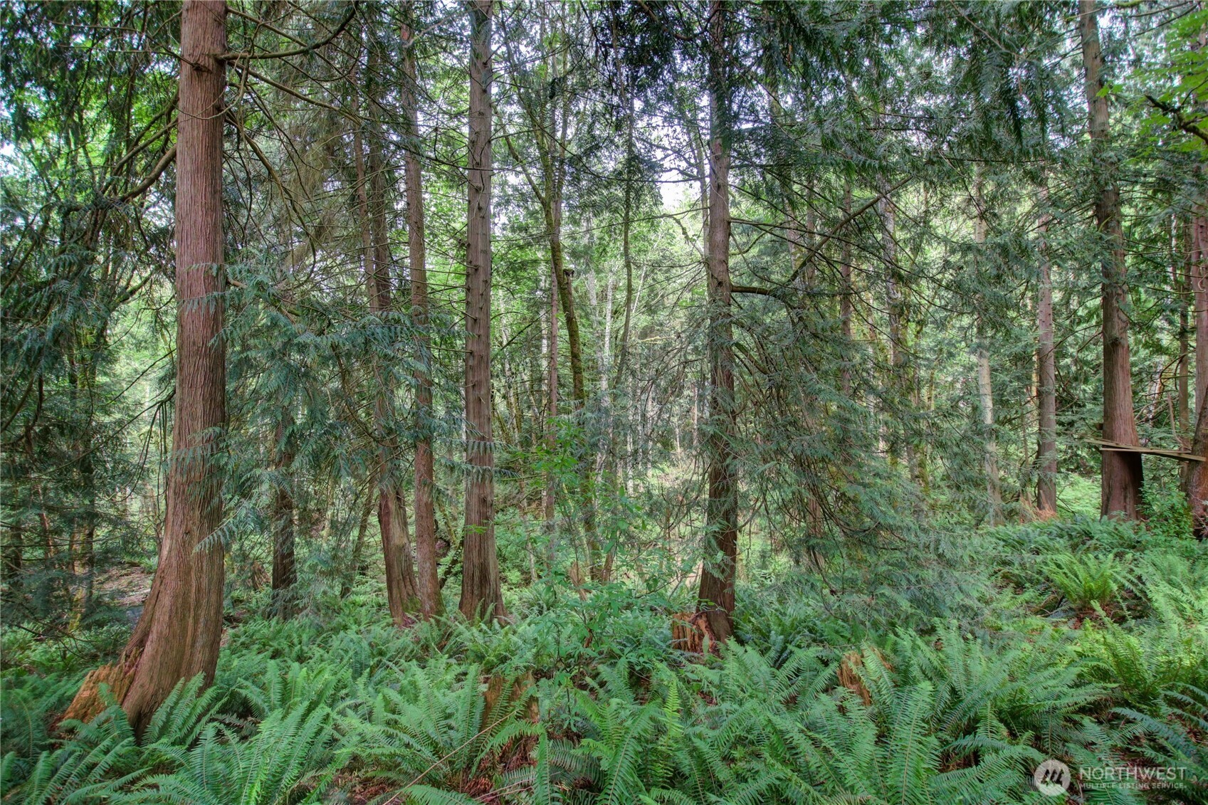 107 Pueblo Heights , Mount Vernon, WA 98273