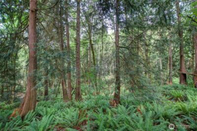 107 Pueblo Heights , Mount Vernon, WA 98273 - Photo 14