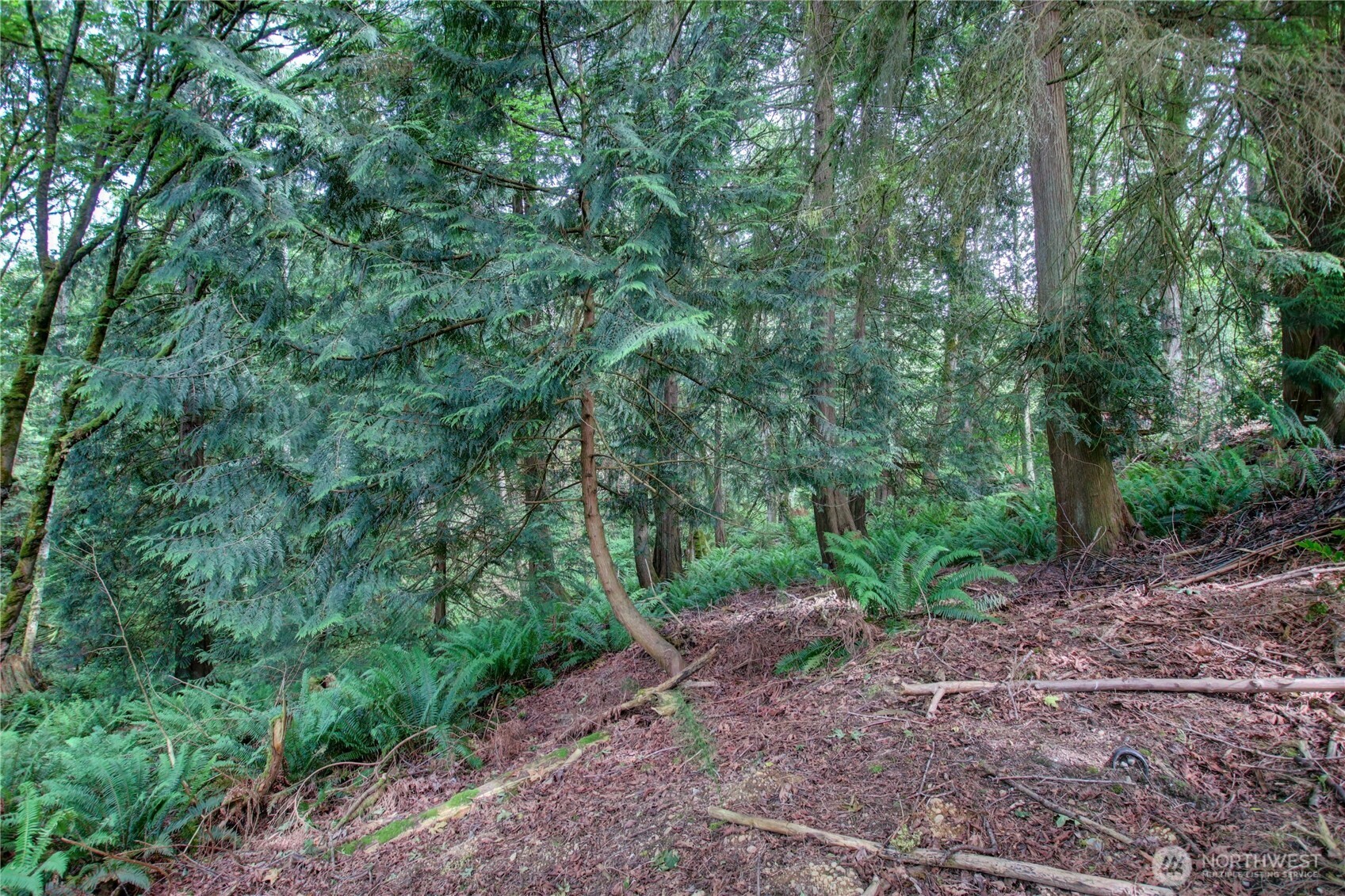 107 Pueblo Heights , Mount Vernon, WA 98273