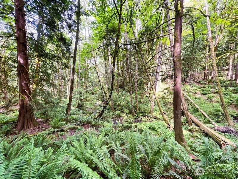 107 Pueblo Heights , Mount Vernon, WA 98273