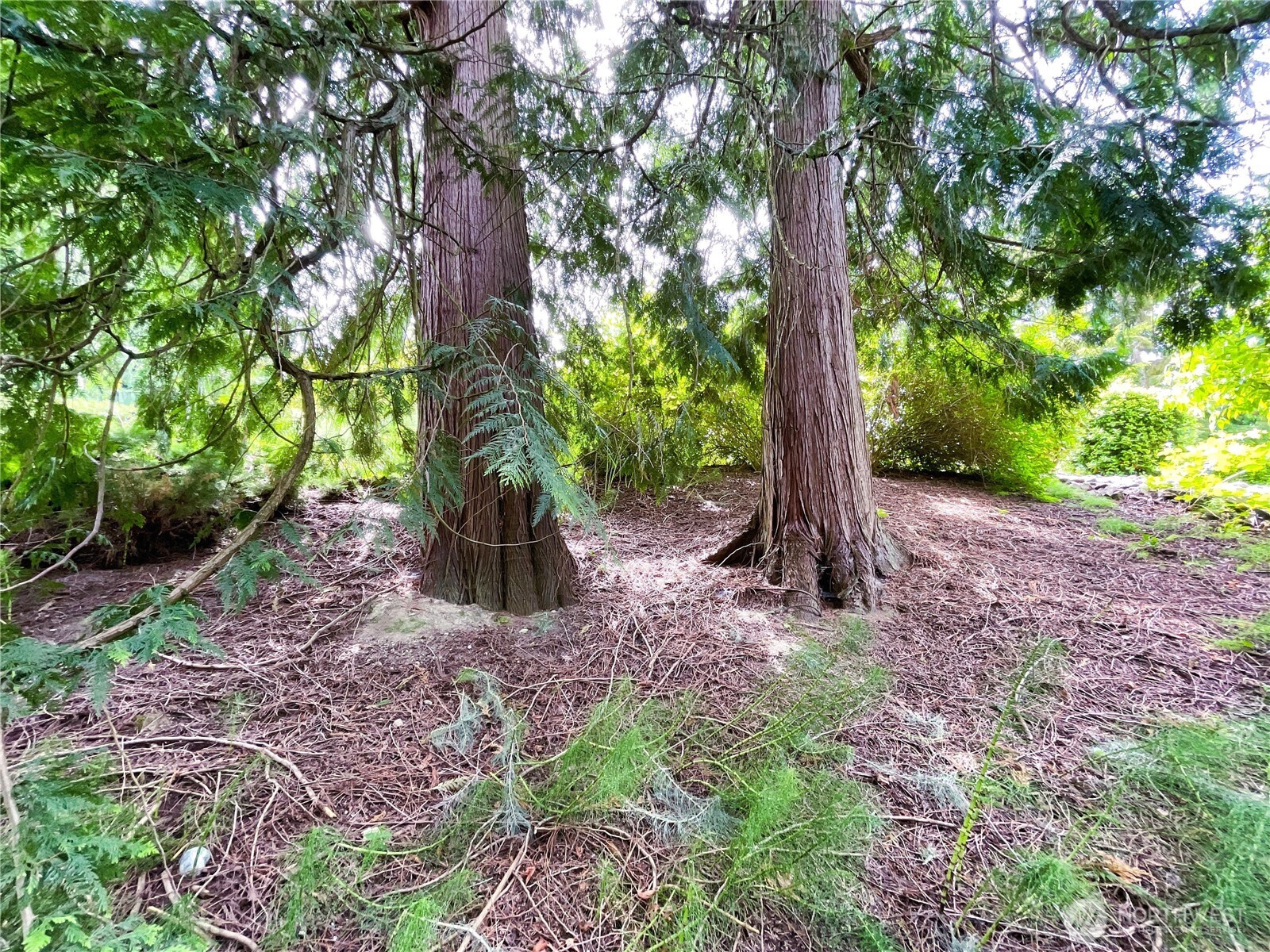 107 Pueblo Heights , Mount Vernon, WA 98273