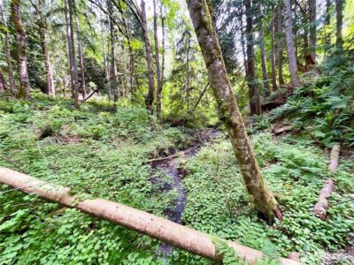 107 Pueblo Heights , Mount Vernon, WA 98273 - Photo 24