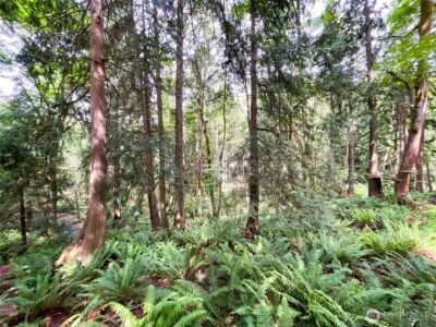 107 Pueblo Heights , Mount Vernon, WA 98273 - Photo 25