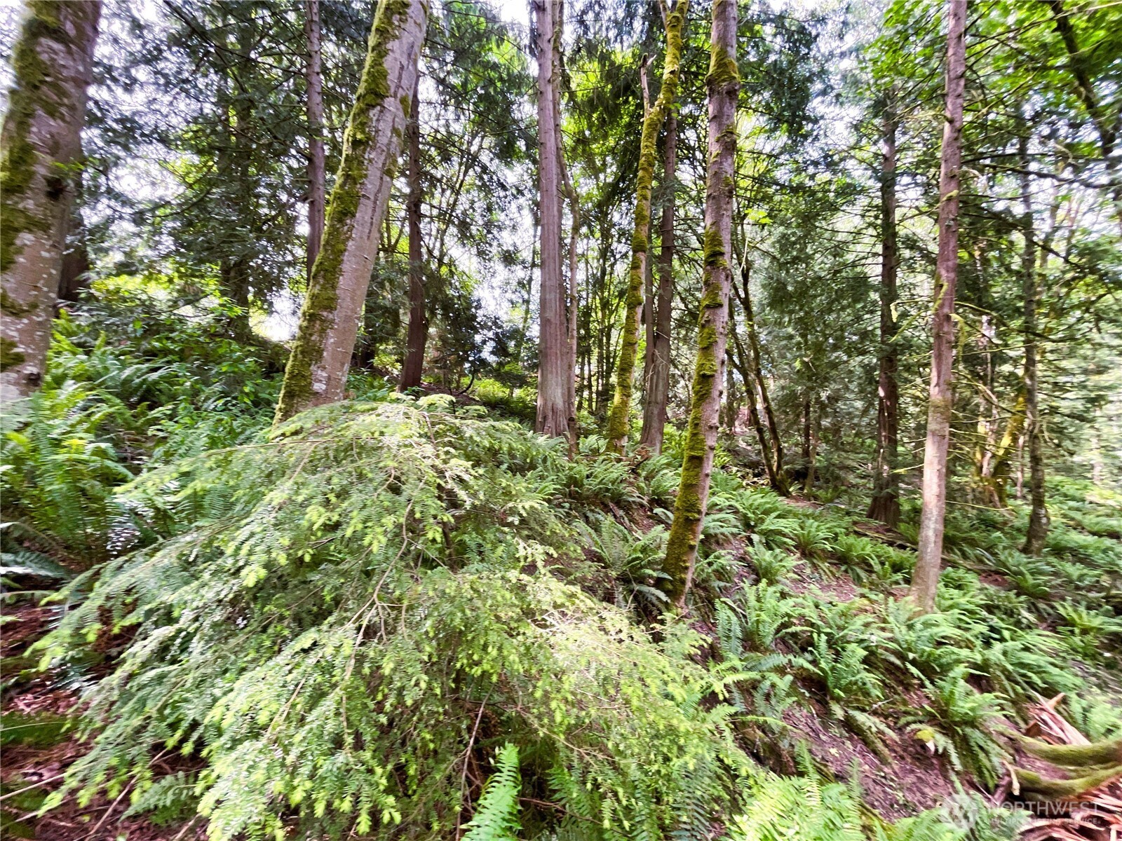 107 Pueblo Heights , Mount Vernon, WA 98273