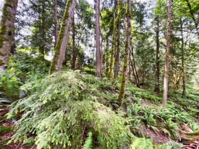 107 Pueblo Heights , Mount Vernon, WA 98273 - Photo 26