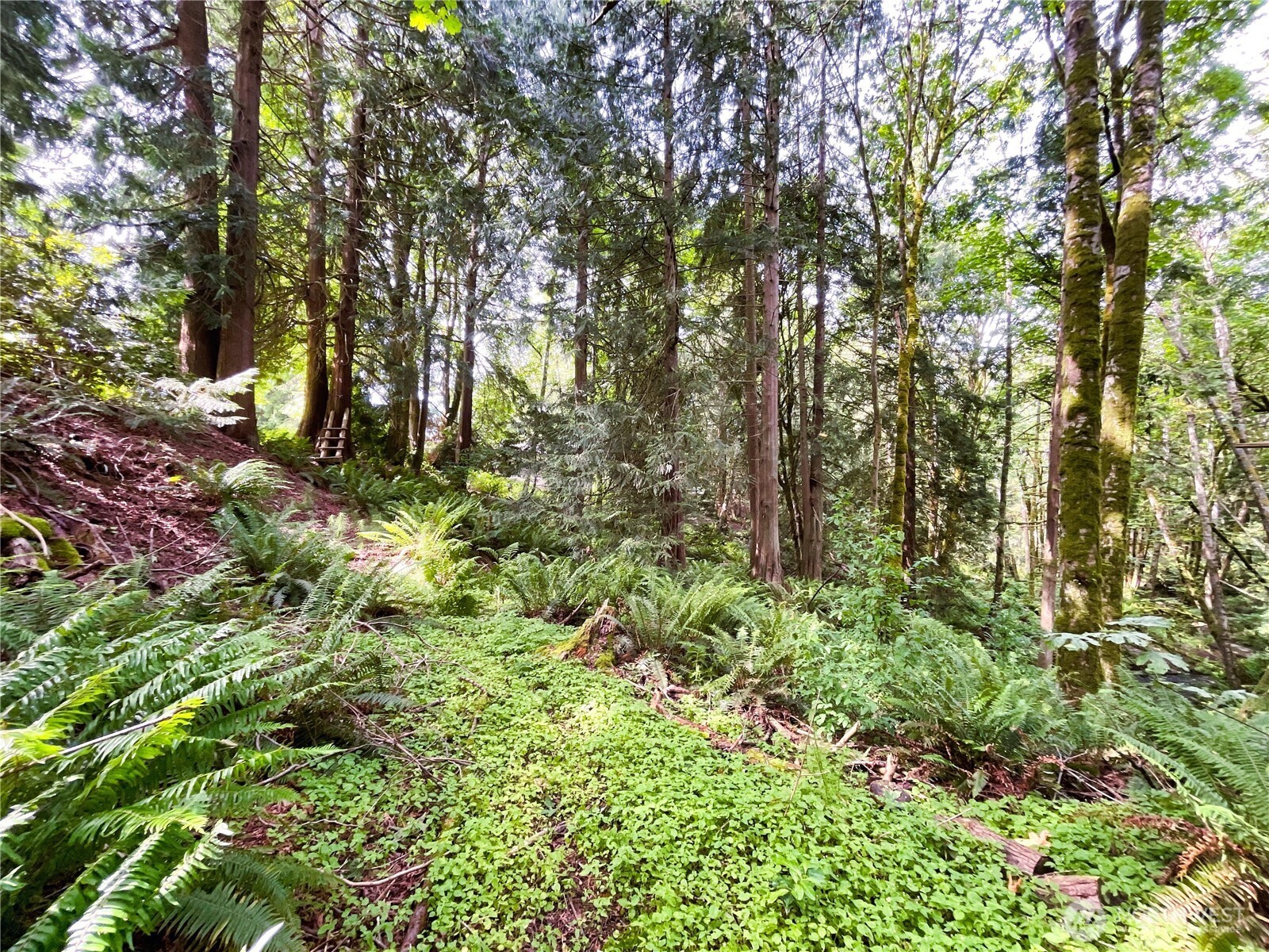 107 Pueblo Heights , Mount Vernon, WA 98273