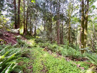 107 Pueblo Heights , Mount Vernon, WA 98273 - Photo 28