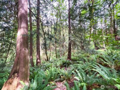 107 Pueblo Heights , Mount Vernon, WA 98273 - Photo 29