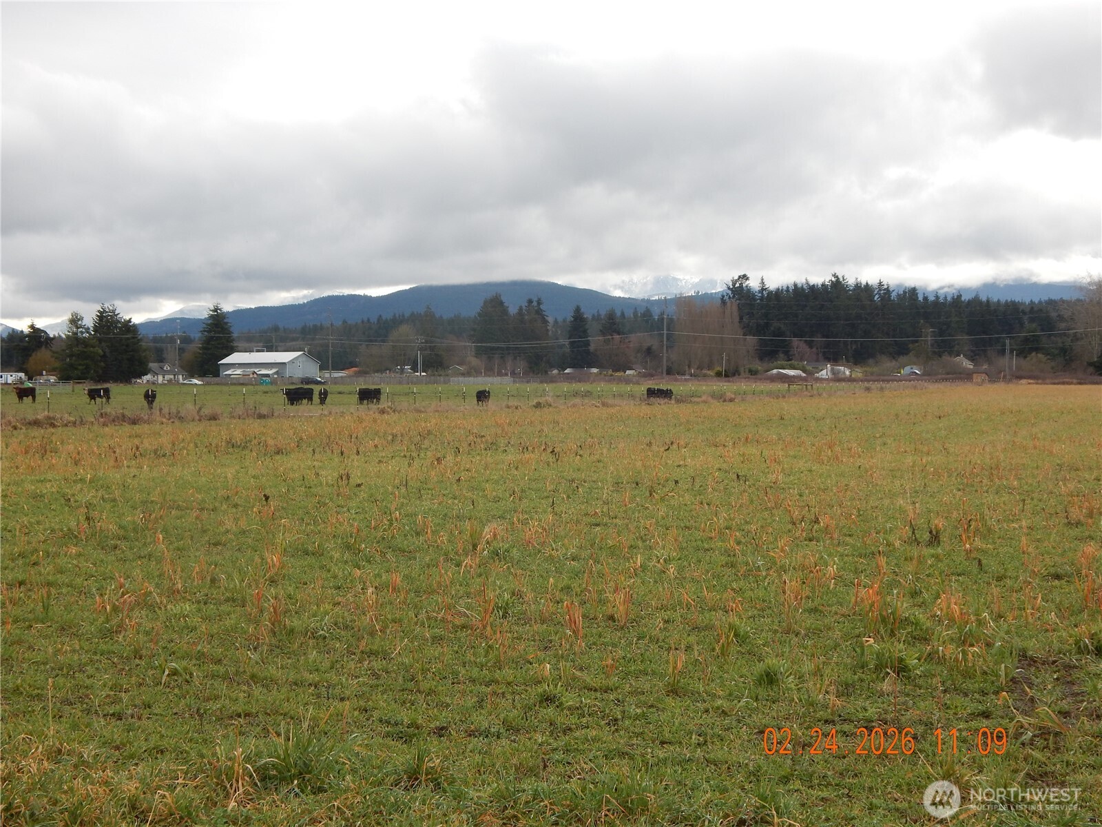 9999 Old Olympic Hwy , Port Angeles, WA 98362