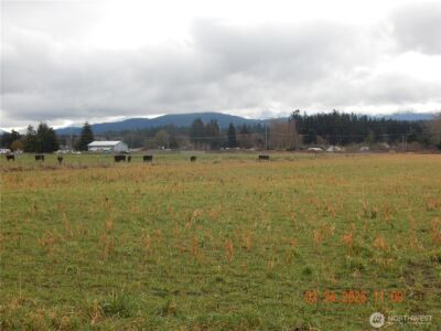 9999 Old Olympic Hwy , Port Angeles, WA 98362 - Photo 8