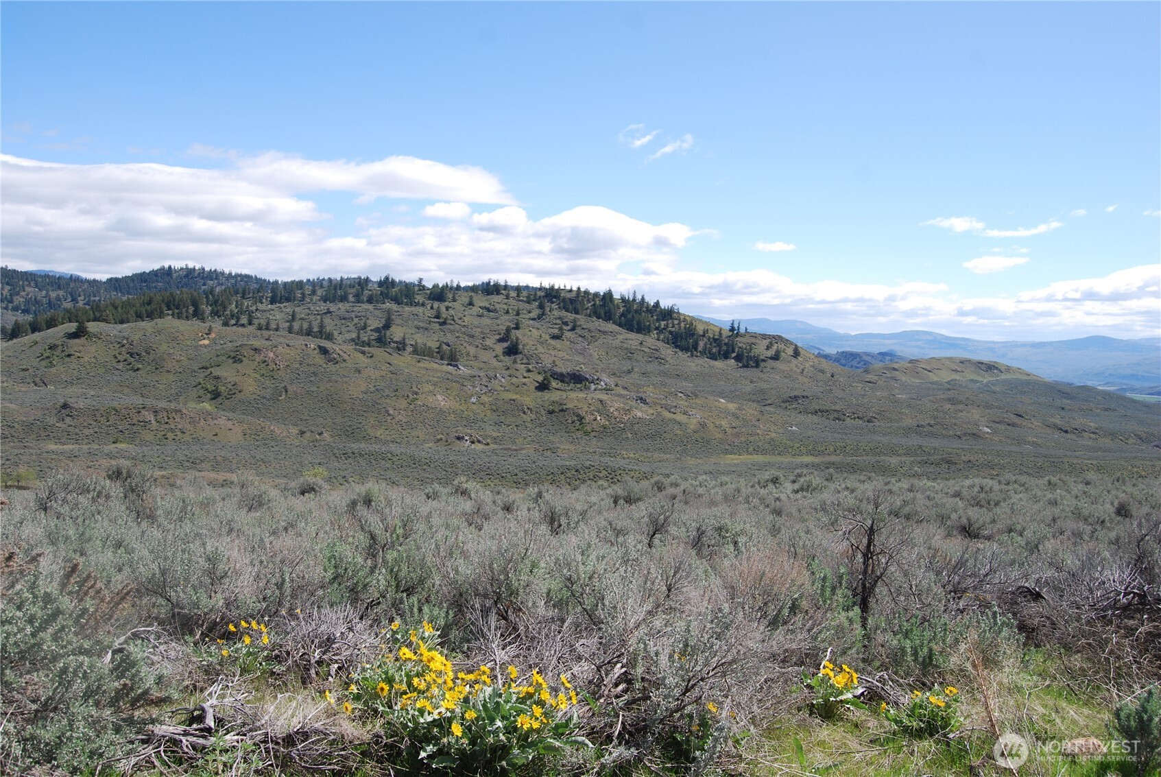 0 Lower White Road , Tonasket, WA 98855