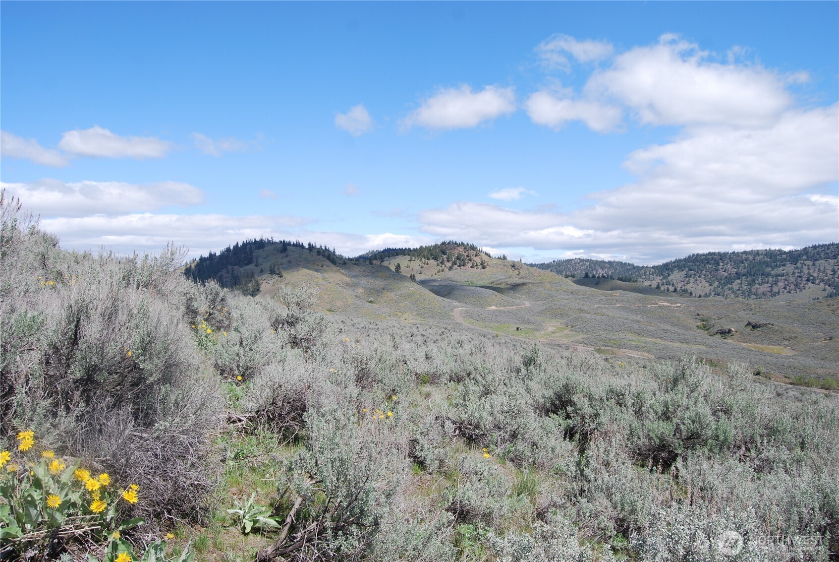 0 Lower White Road , Tonasket, WA 98855