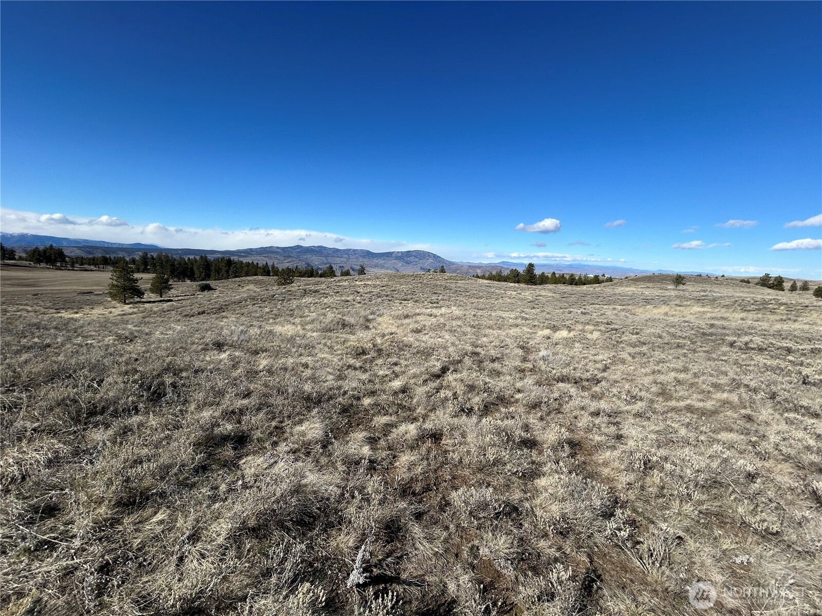 0 Columbia River Bluffs Road , Waterville, WA 98858