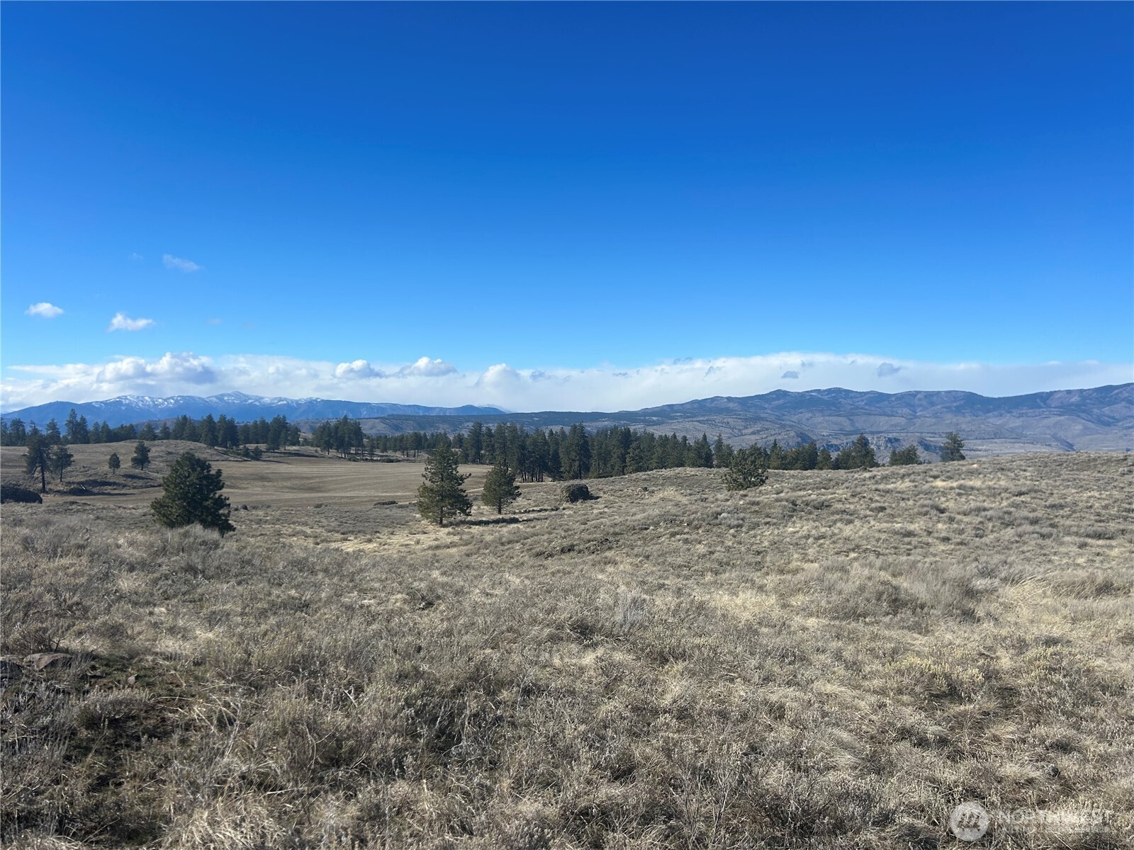 0 Columbia River Bluffs Road , Waterville, WA 98858
