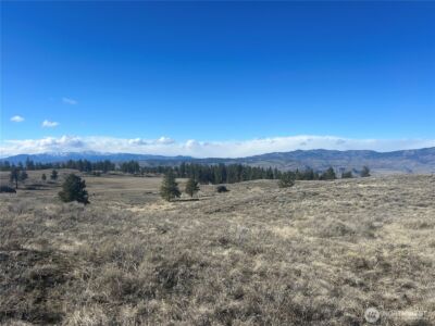 0 Columbia River Bluffs Road , Waterville, WA 98858 - Photo 12