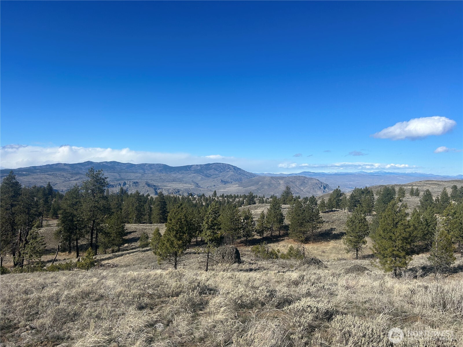 0 Columbia River Bluffs Road , Waterville, WA 98858