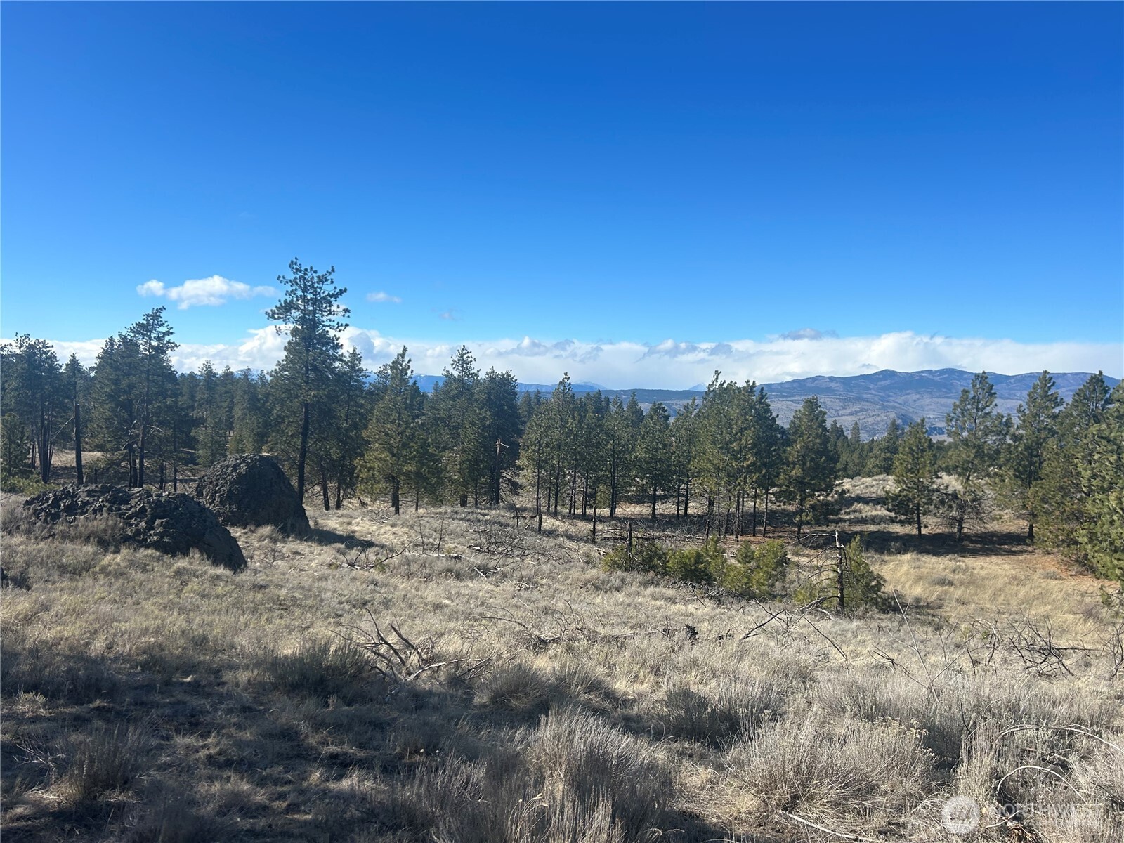 0 Columbia River Bluffs Road , Waterville, WA 98858