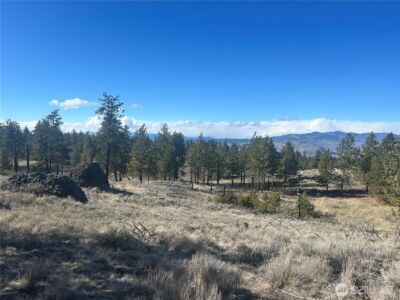 0 Columbia River Bluffs Road , Waterville, WA 98858 - Photo 14