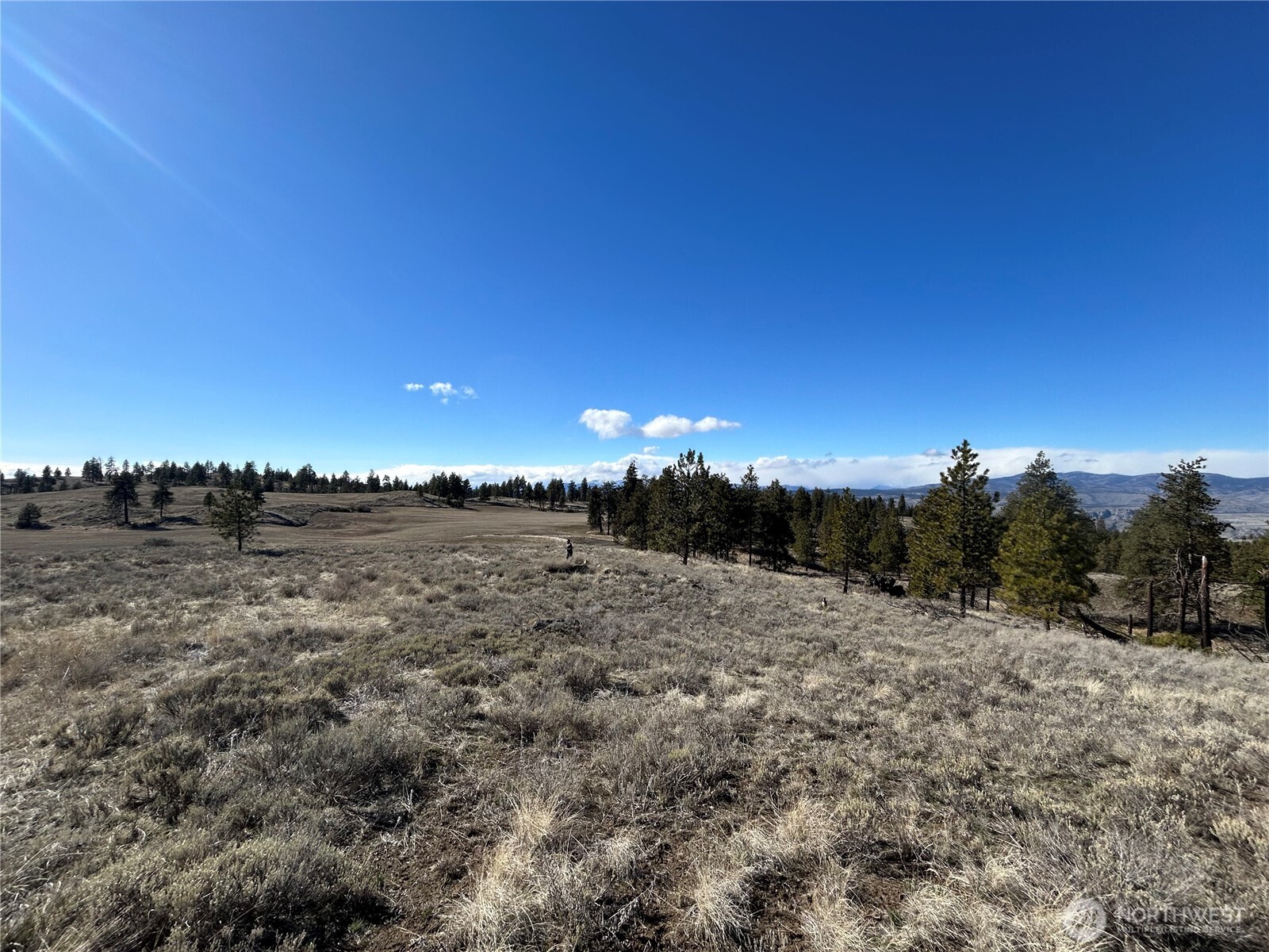 0 Columbia River Bluffs Road , Waterville, WA 98858