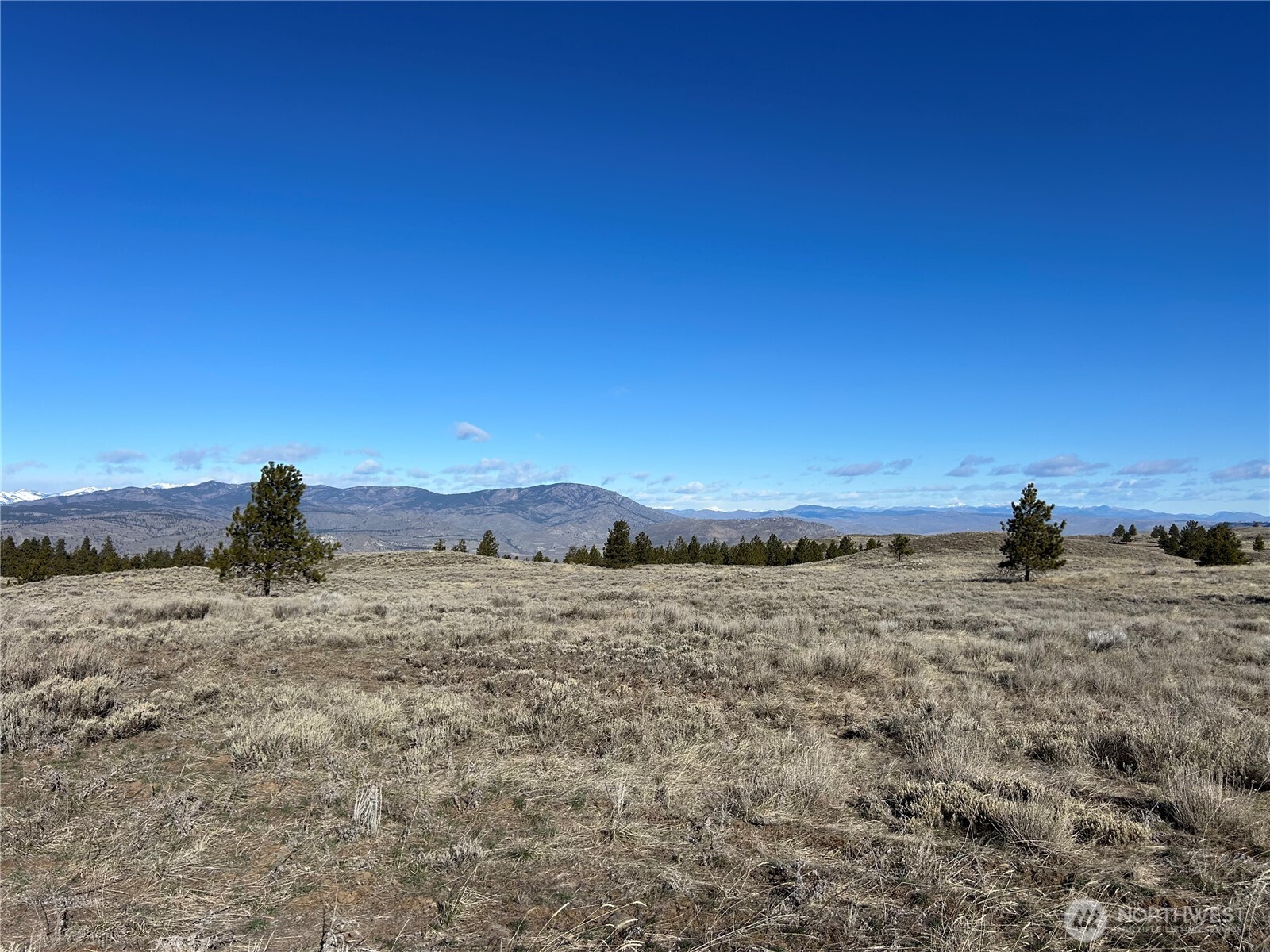 0 Columbia River Bluffs Road , Waterville, WA 98858