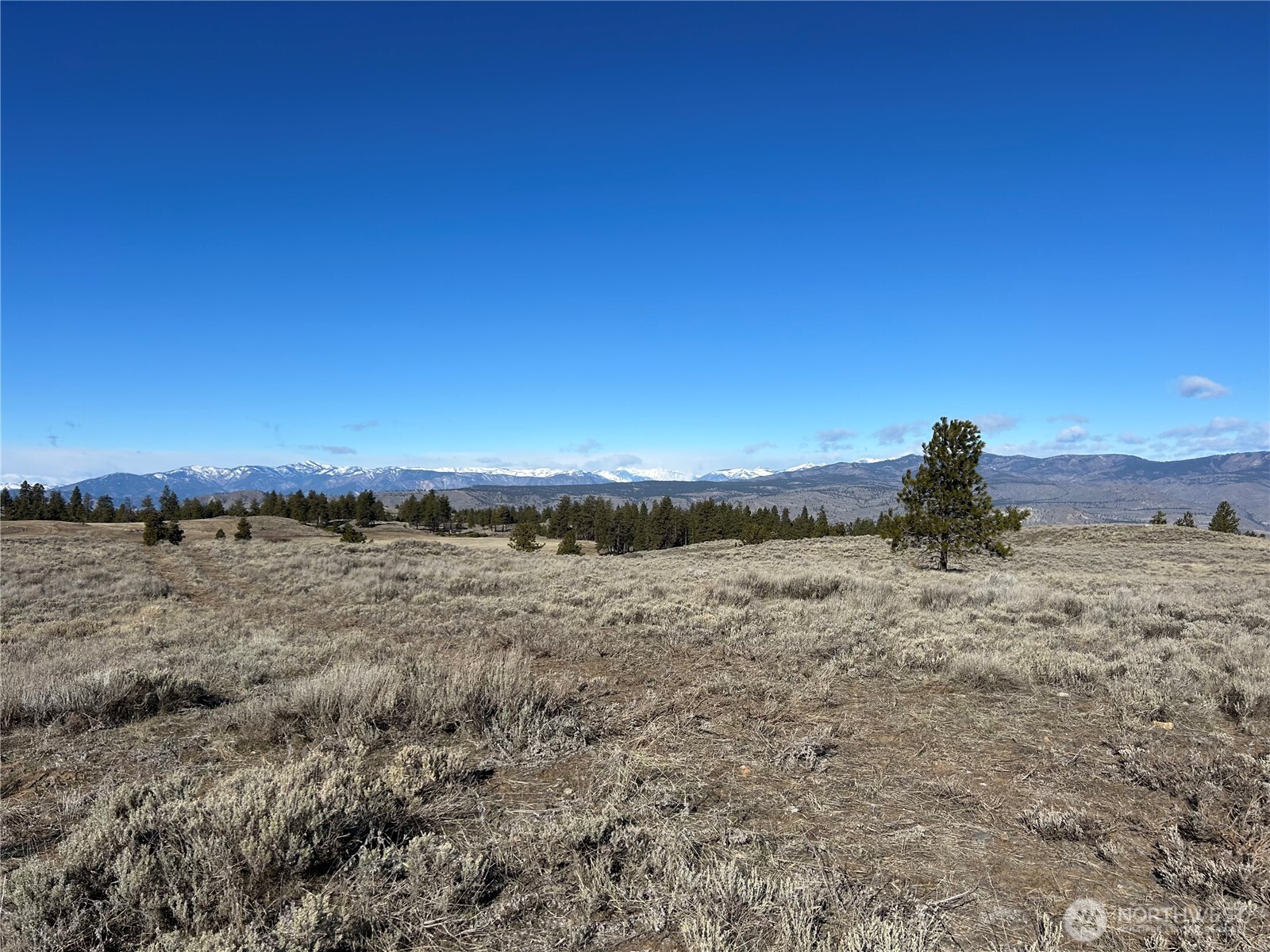 0 Columbia River Bluffs Road , Waterville, WA 98858