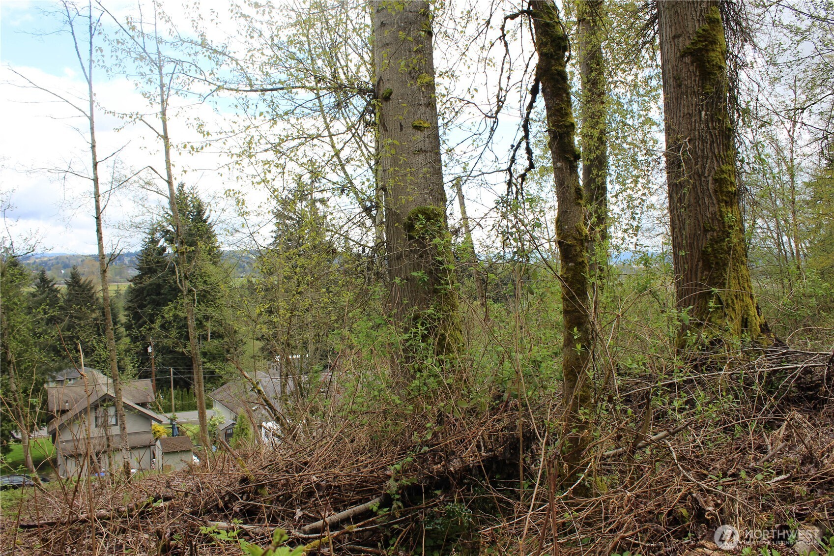 22 xx Franklin Street , Everett, WA 98208