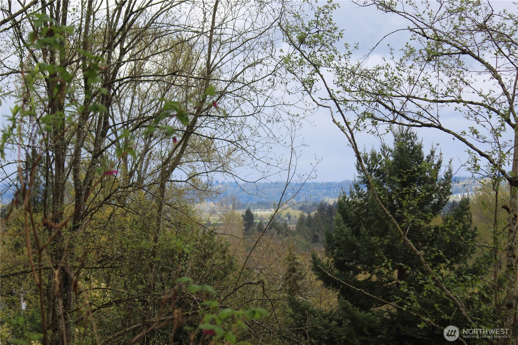 22 xx Franklin Street , Everett, WA 98208