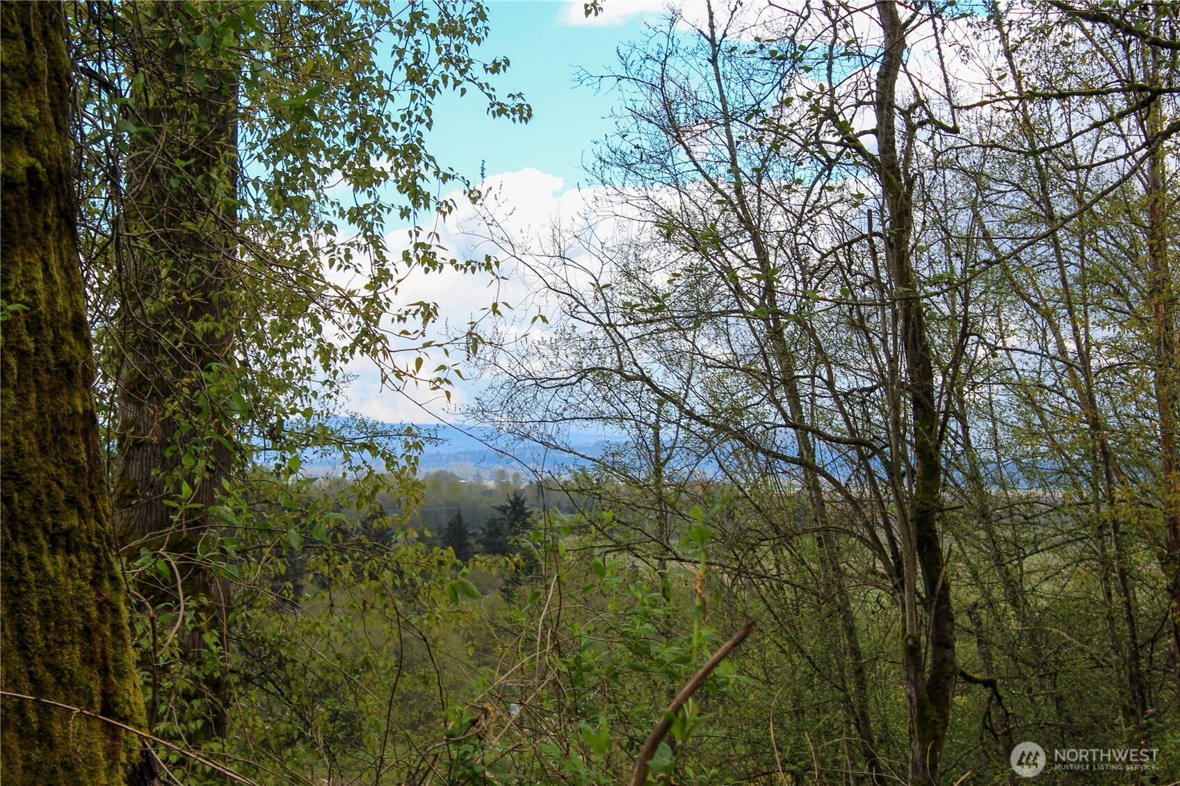 22 xx Franklin Street , Everett, WA 98208