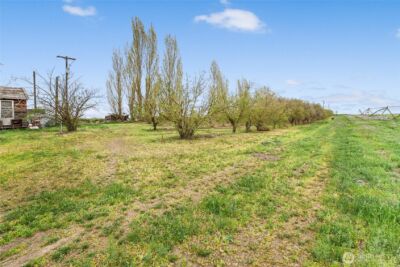 8959 Rd E NW, Ephrata, WA 98823 - Photo 35