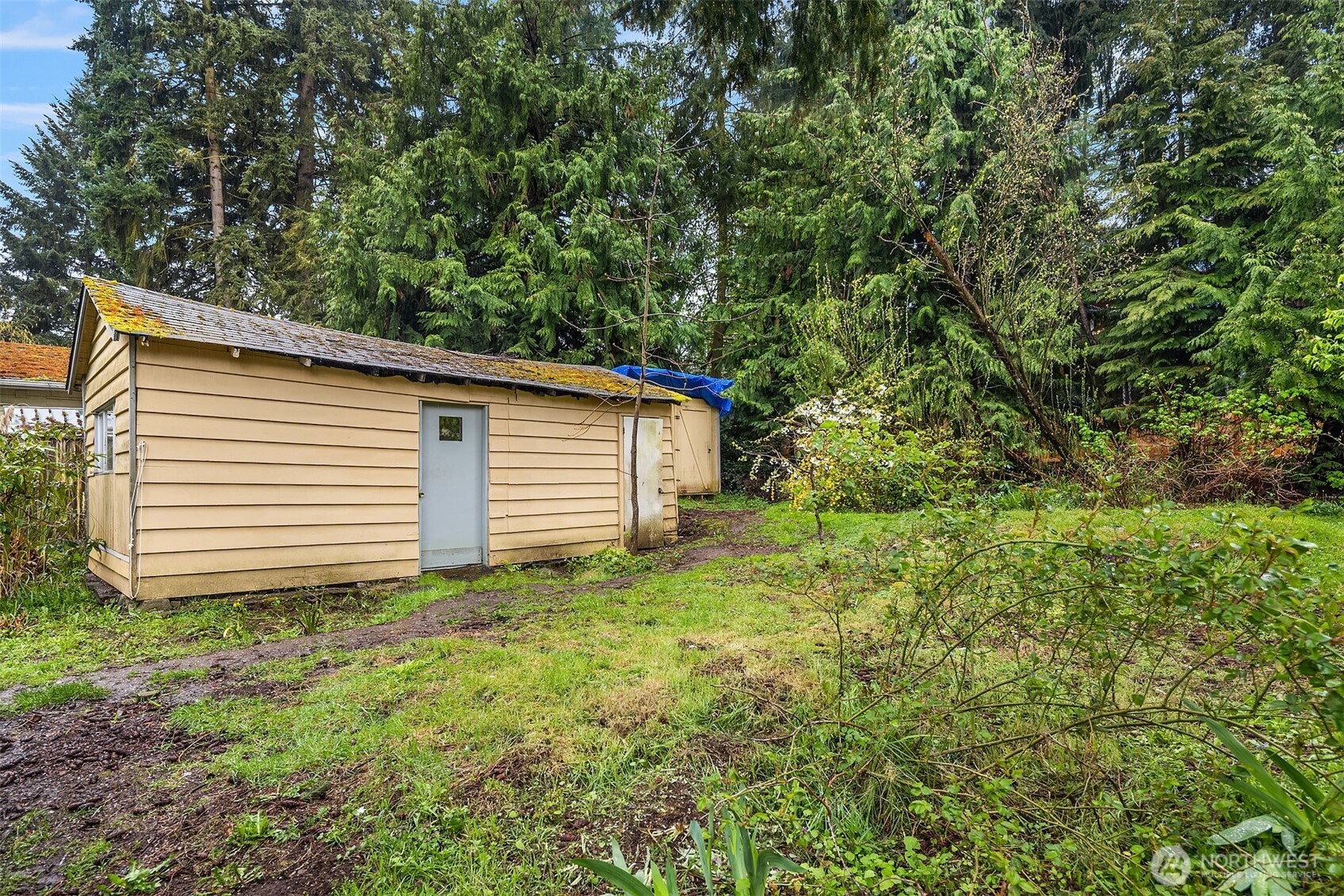15527 Wallingford Avenue N, Shoreline, WA 98133
