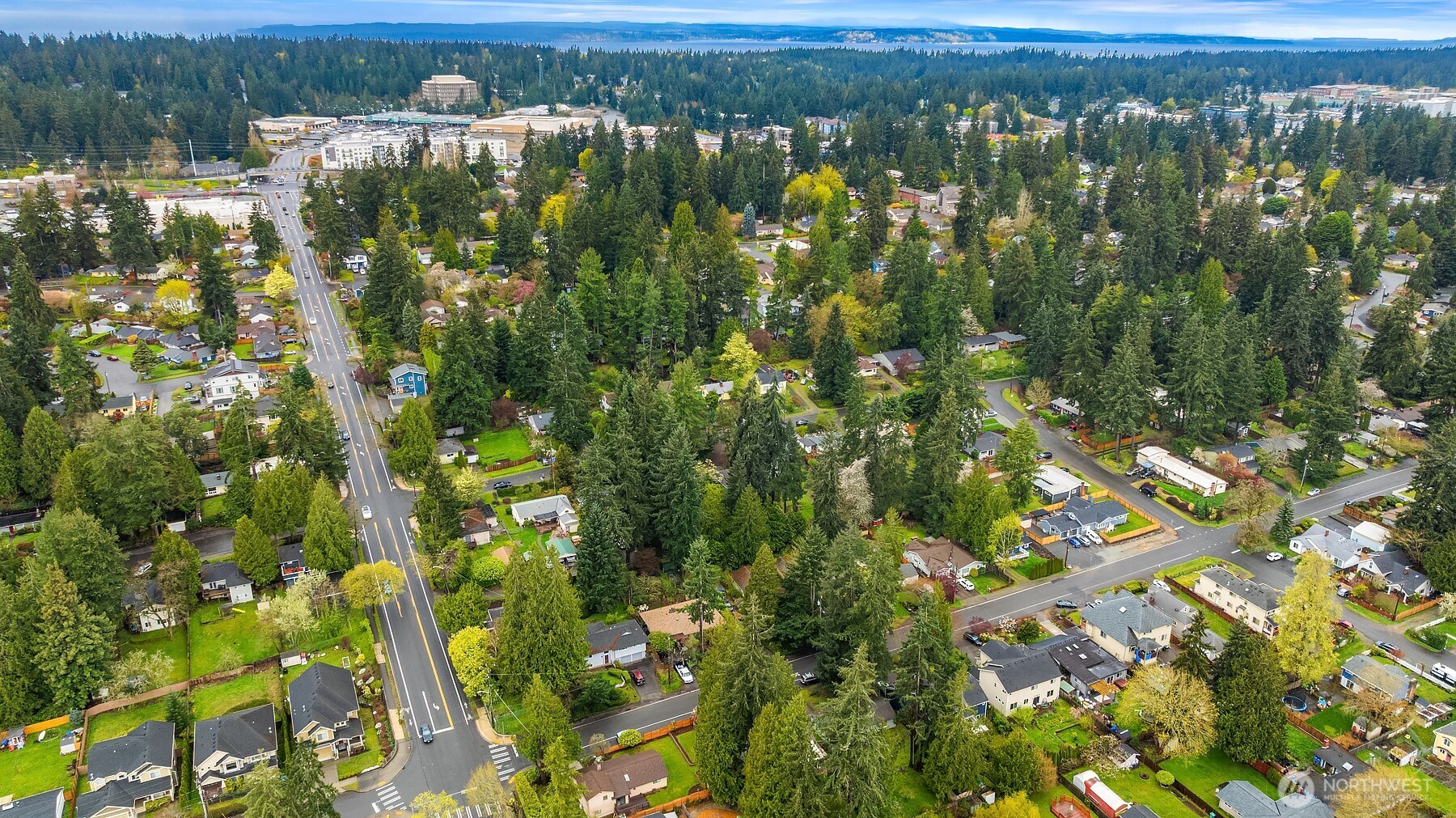 15527 Wallingford Avenue N, Shoreline, WA 98133