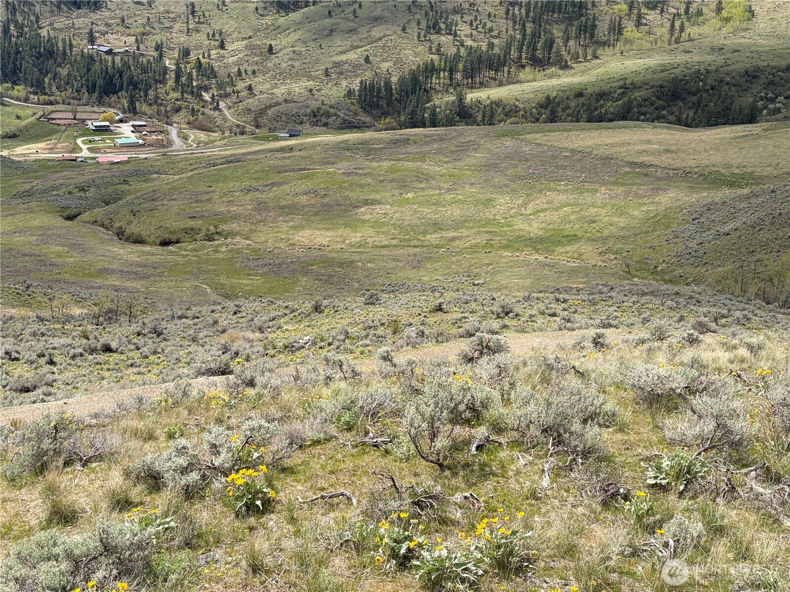 0 Lot 4 Aspen Springs , Tonasket, WA 98855
