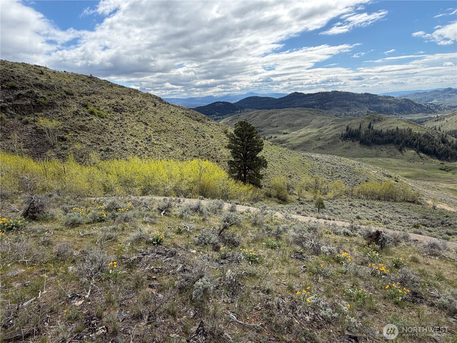0 Lot 4 Aspen Springs , Tonasket, WA 98855