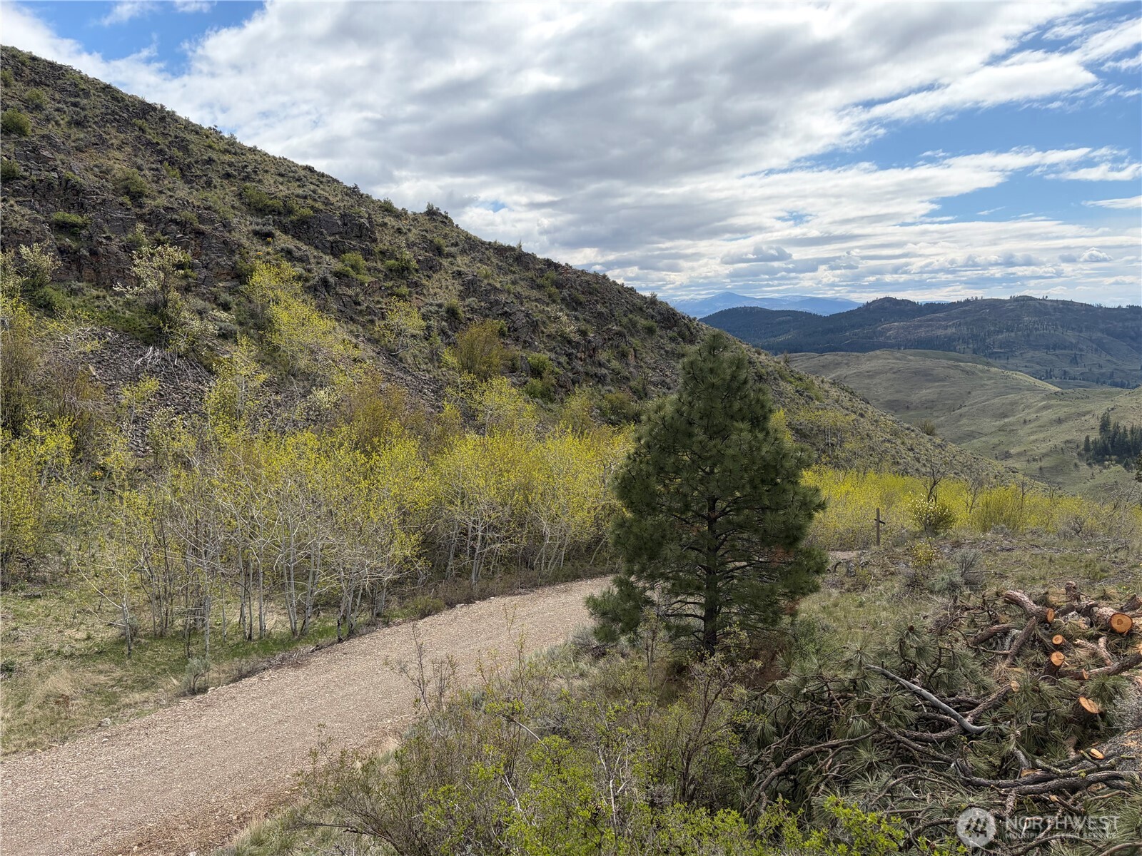 0 Lot 4 Aspen Springs , Tonasket, WA 98855
