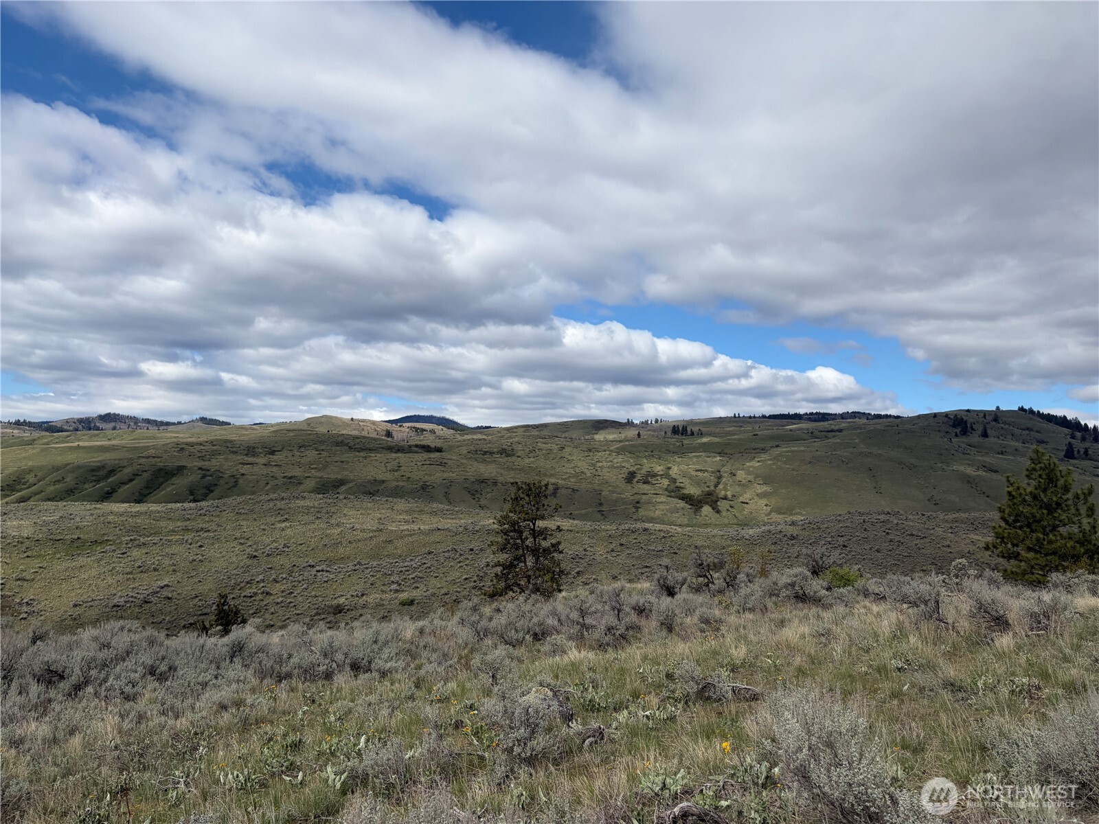 0 Lot 4 Aspen Springs , Tonasket, WA 98855