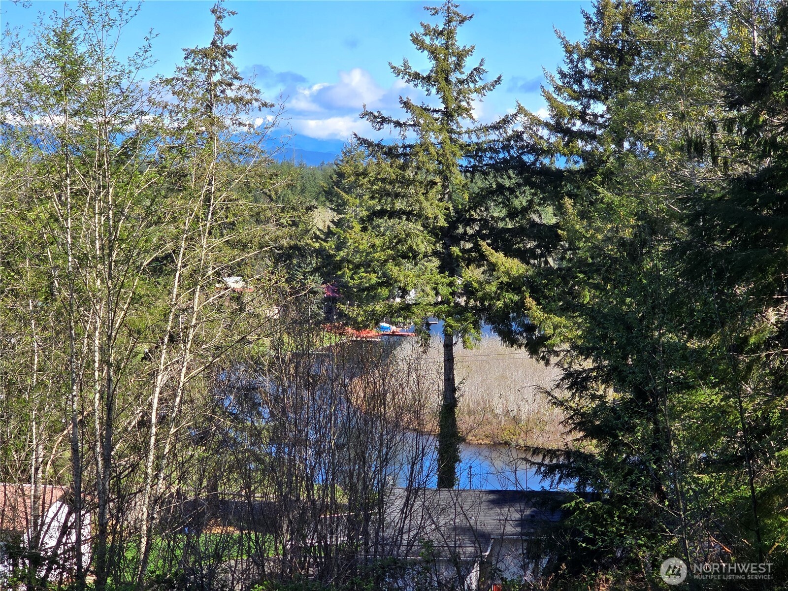 80 W Satsop Drive , Elma, WA 98541