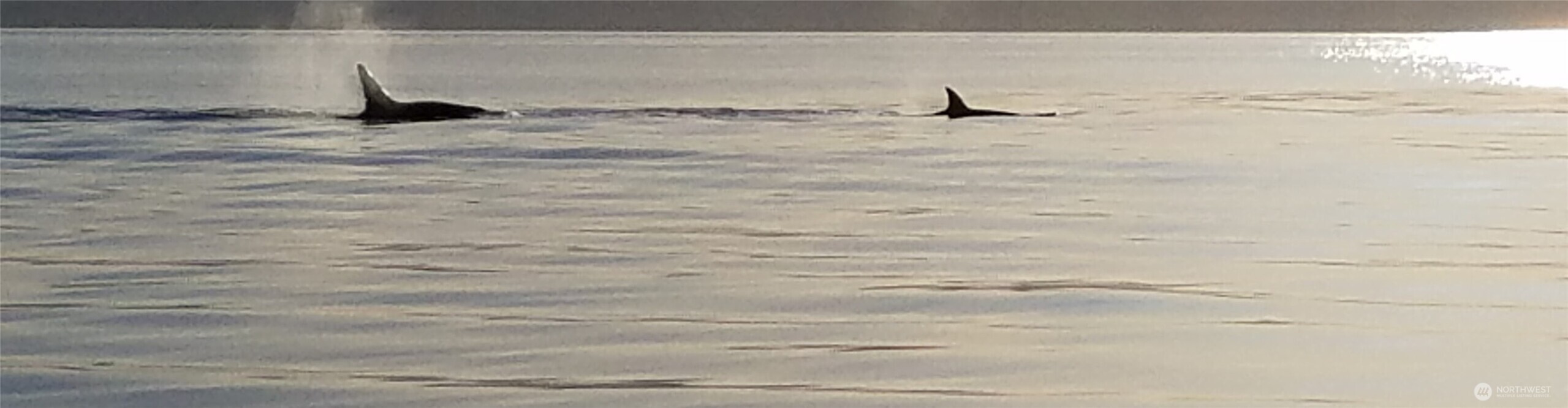 31823 S Bridge Way NE, Poulsbo, WA 98370