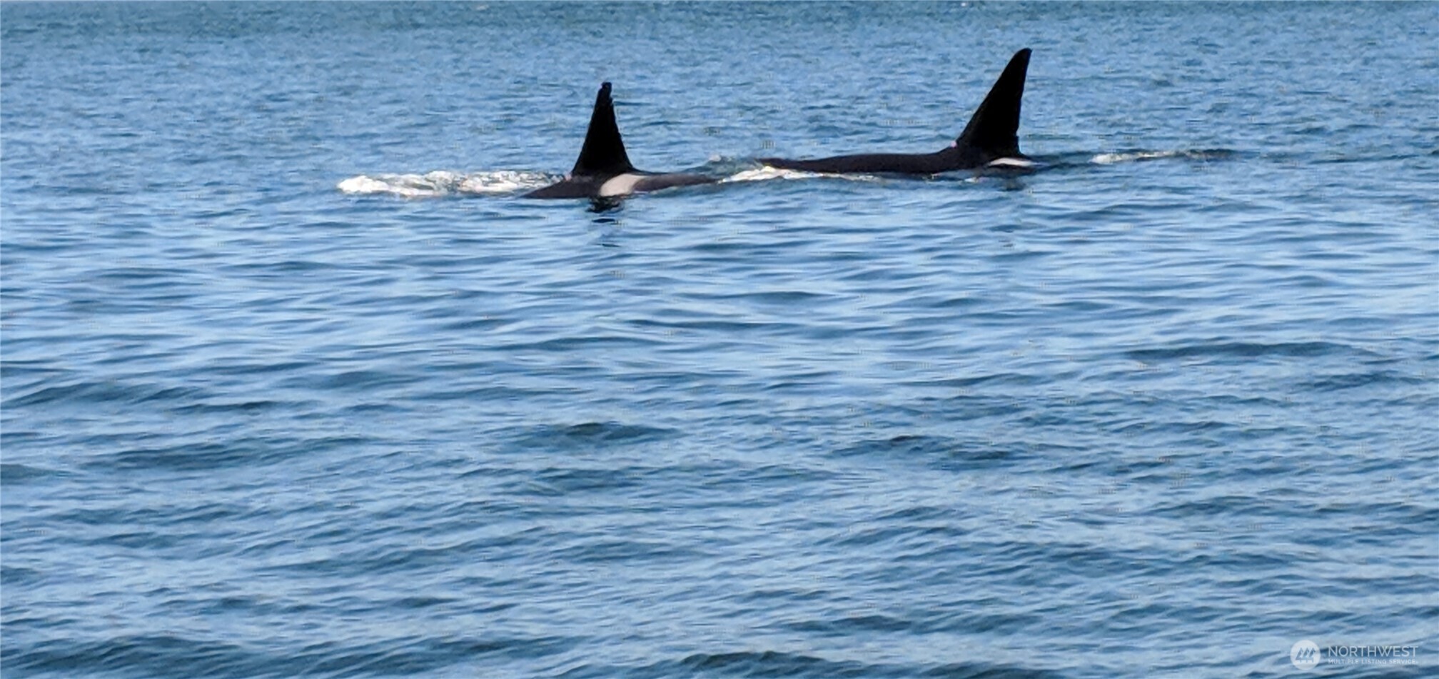 31823 S Bridge Way NE, Poulsbo, WA 98370