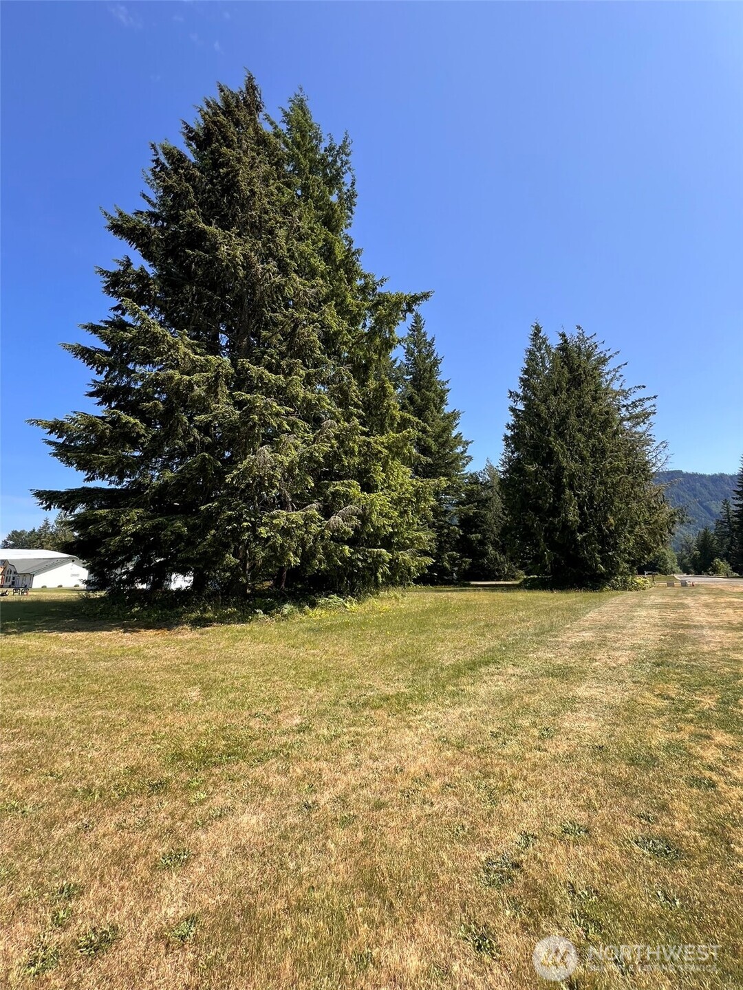 0 Shelton Road , Randle, WA 98377