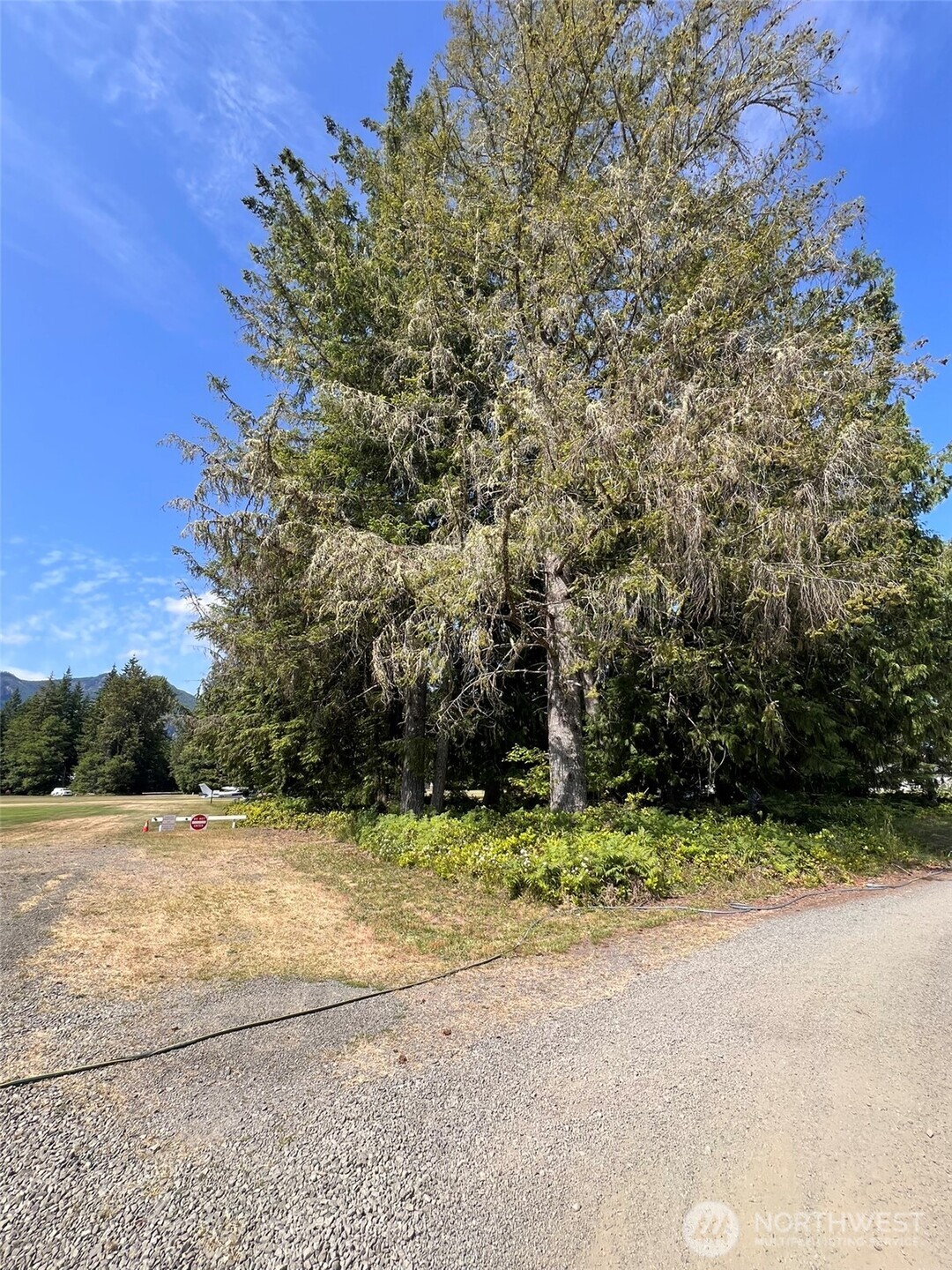 0 Shelton Road , Randle, WA 98377