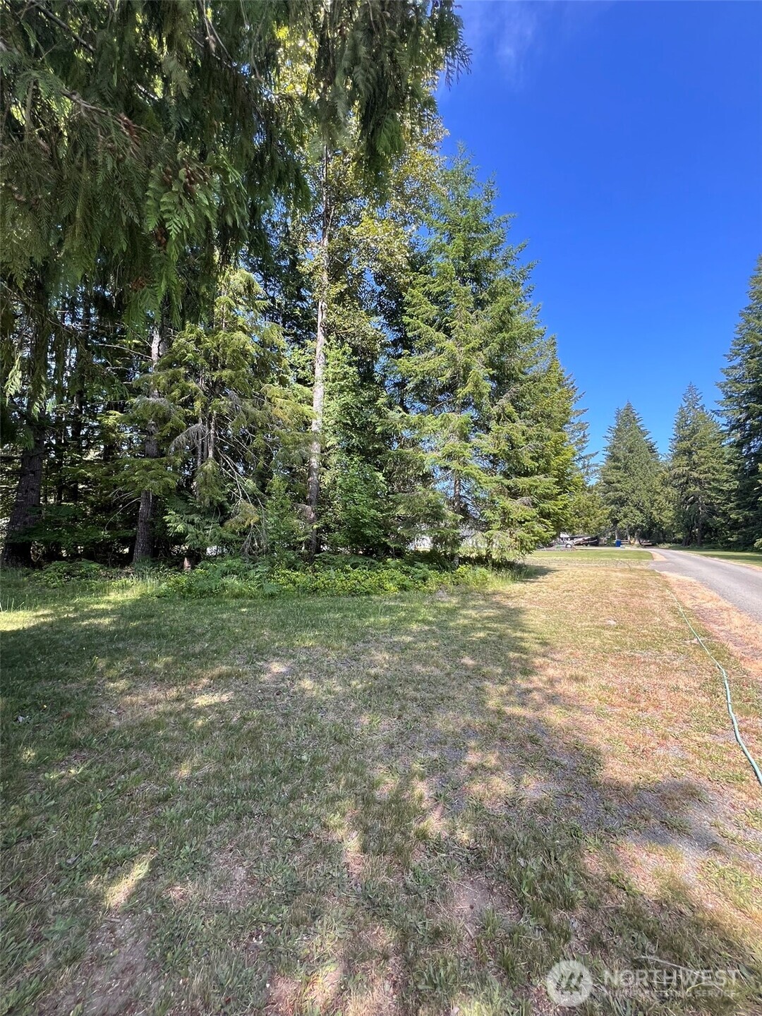 0 Shelton Road , Randle, WA 98377