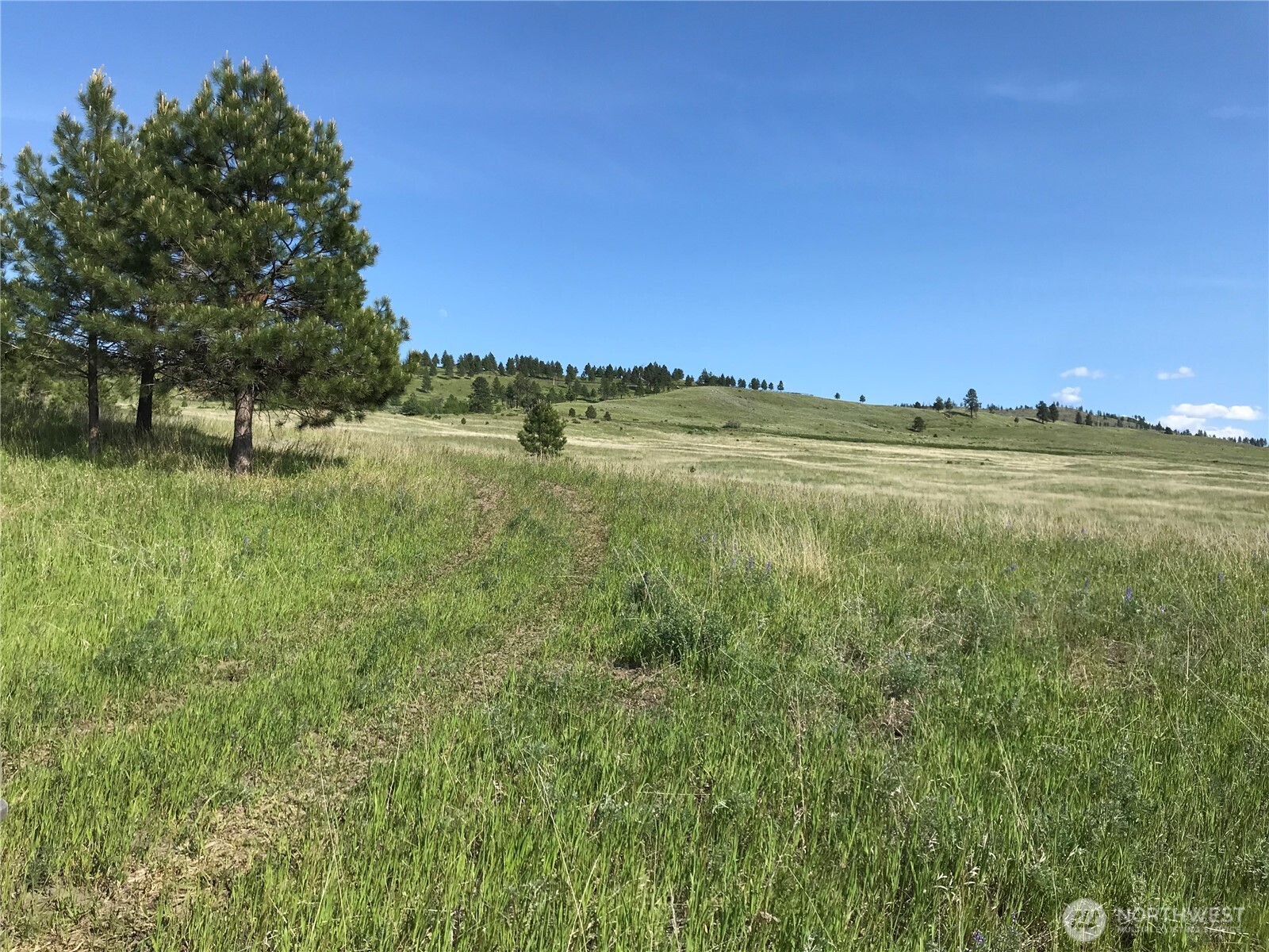 513 9 Mile Road , Oroville, WA 98844