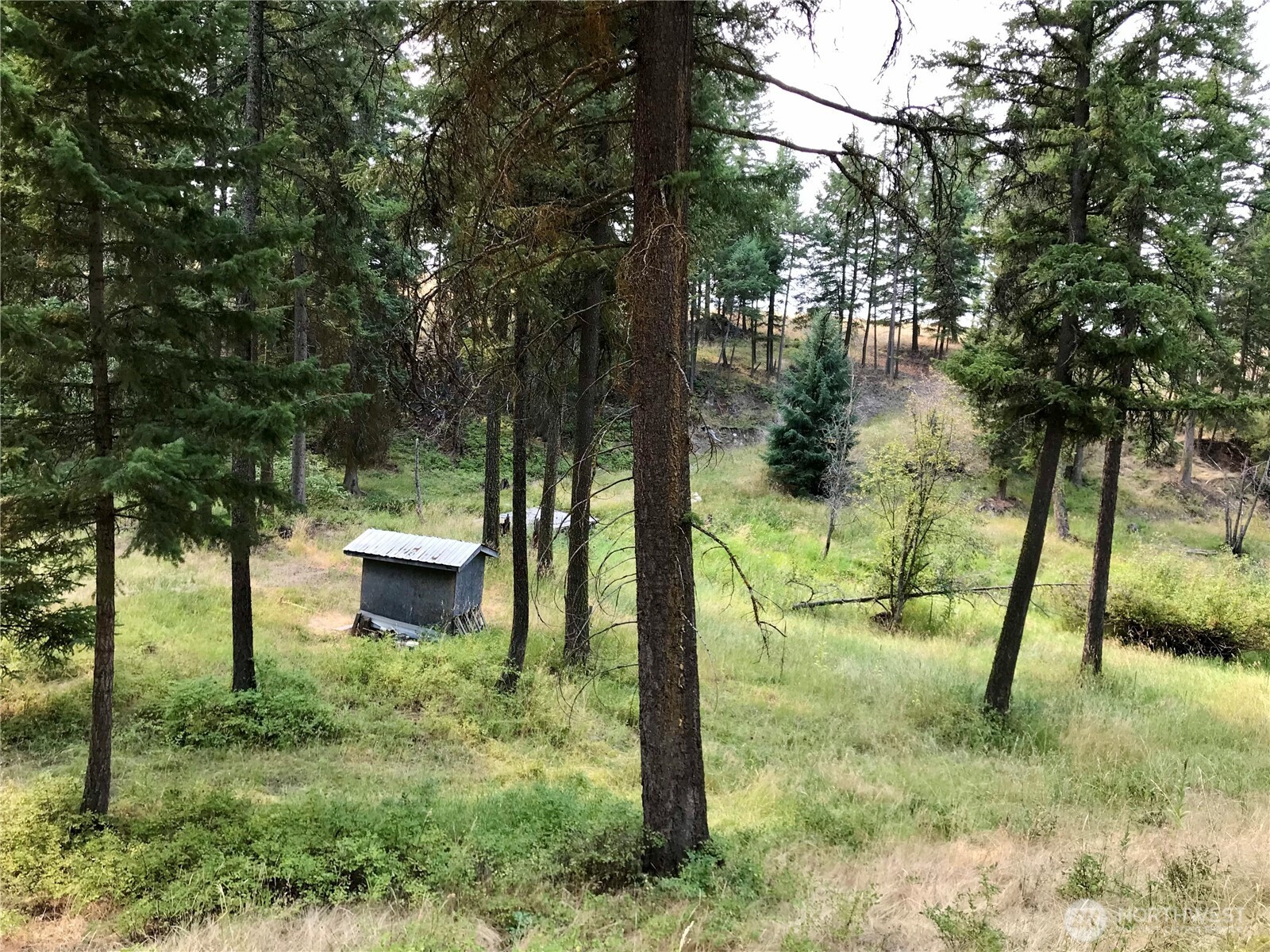 513 9 Mile Road , Oroville, WA 98844