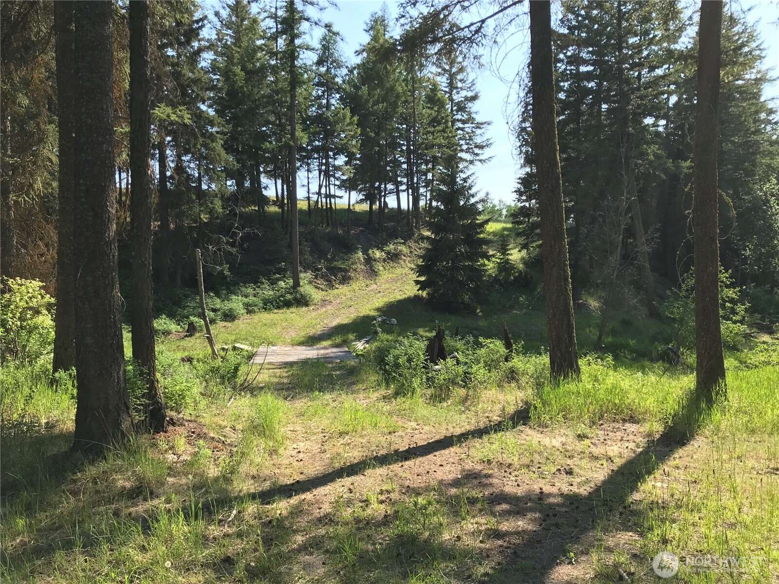 513 9 Mile Road , Oroville, WA 98844