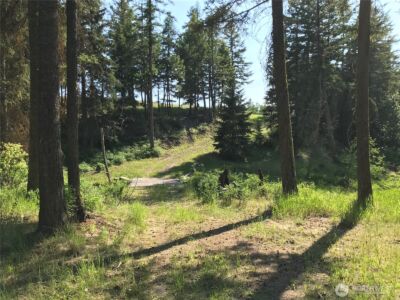 513 9 Mile Road , Oroville, WA 98844 - Photo 5