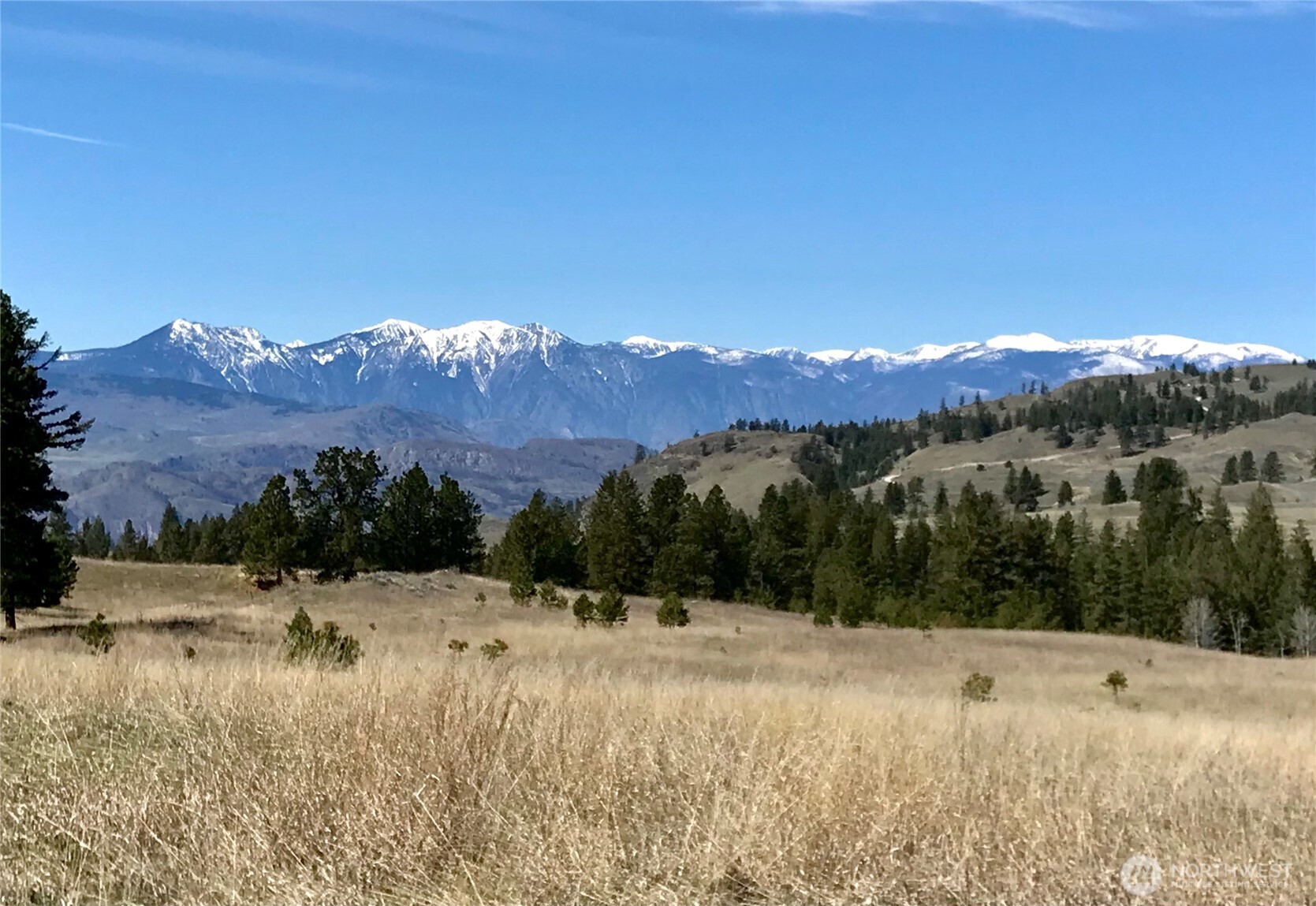 513 9 Mile Road , Oroville, WA 98844