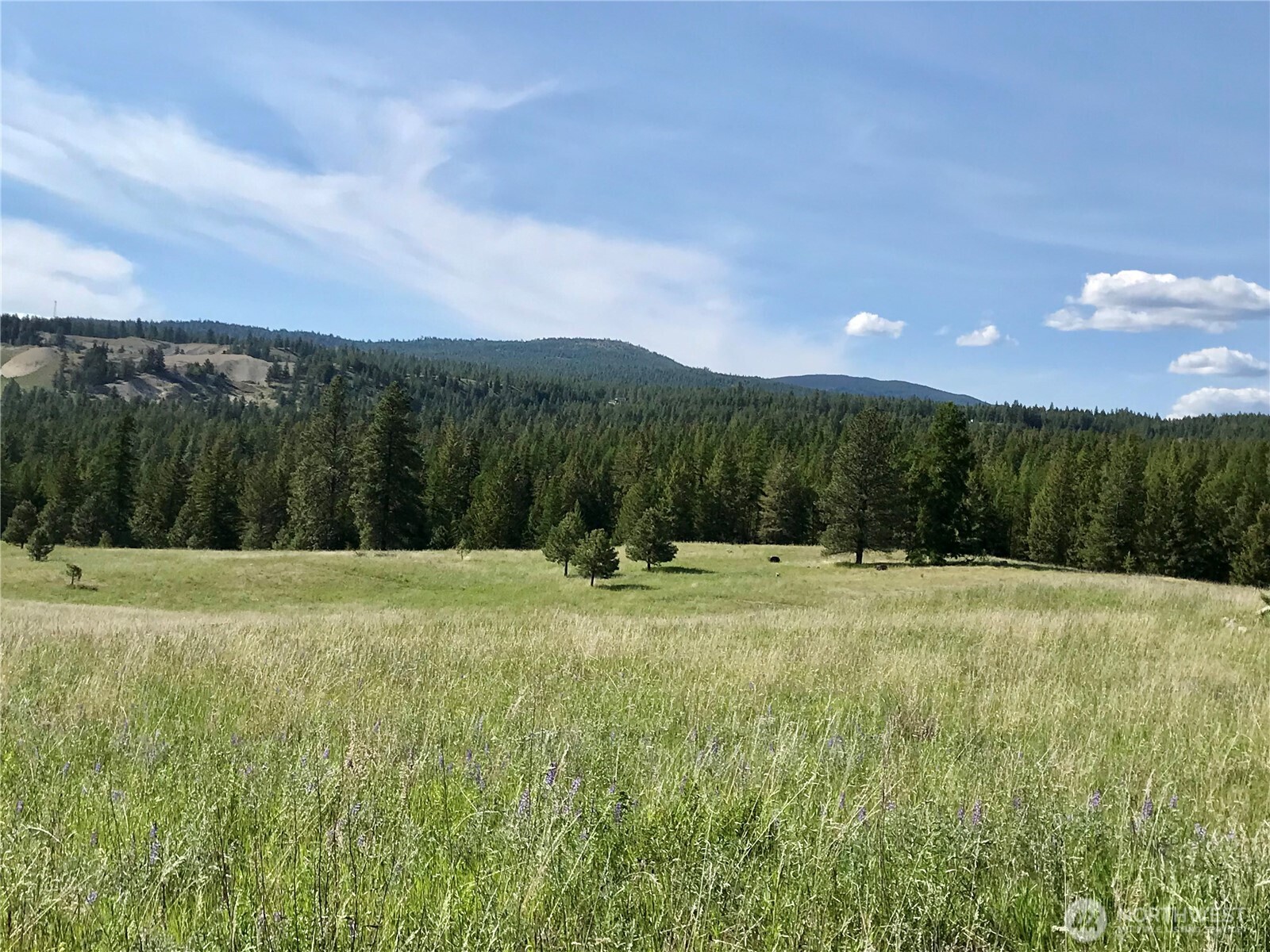 513 9 Mile Road , Oroville, WA 98844