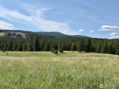 513 9 Mile Road , Oroville, WA 98844 - Photo 9